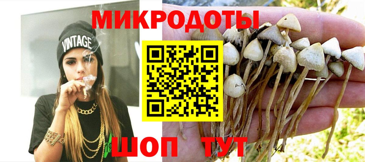 Добрянка  Галлюциногенные грибы Psilocybine cubensis  Вход с VPN  Галлюциногенные грибы GOLDEN TEACHER 